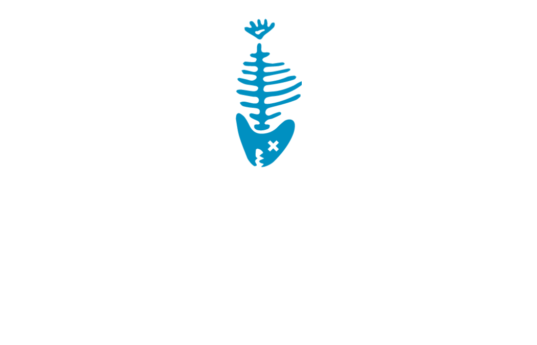Alley Cat Oyster Bar